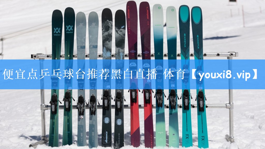便宜点乒乓球台推荐黑白直播 体育