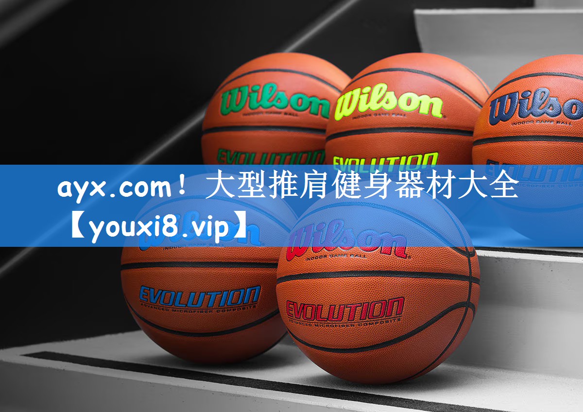 ayx.com！大型推肩健身器材大全