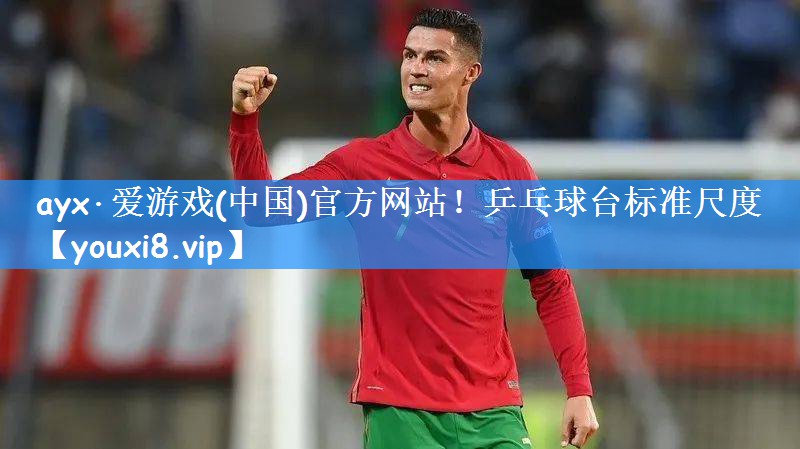 乒乓球台标准尺度
