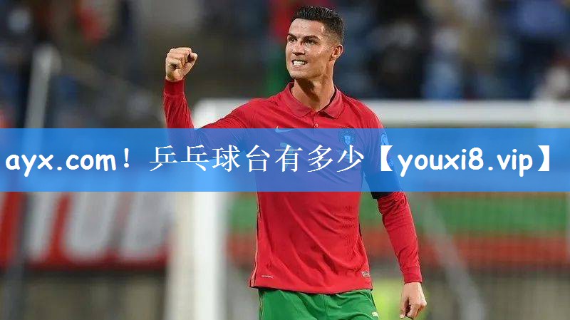 乒乓球台有多少